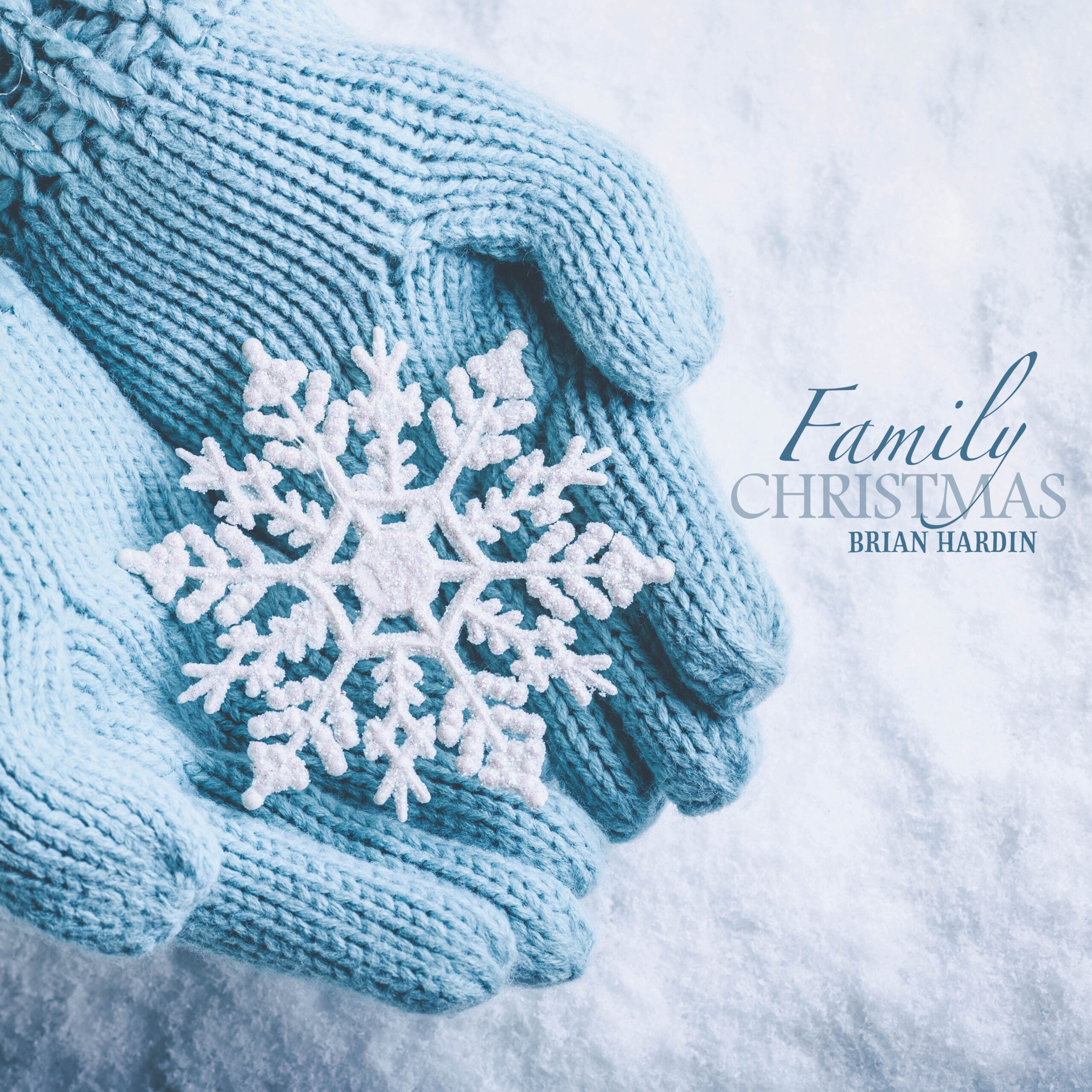 Family Christmas – Vinyl