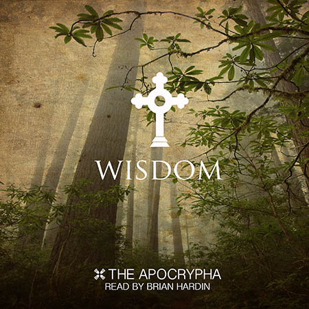 Wisdom - Audiobook (Download)